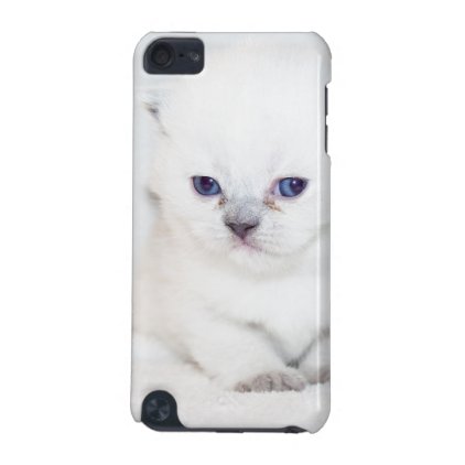 Sweet white Kitten iPod Touch (5th Generation) Case