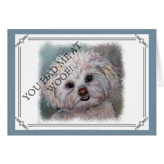 SWEET WHITE MALTESE YORKIE MIX (Front Horizontal)