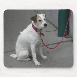 Sweet White Mongrel Mouse Pad