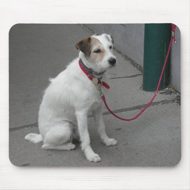 Sweet White Mongrel Mouse Pad (Front)