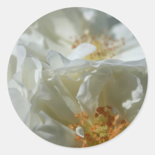 Sweet White Round Sticker 1