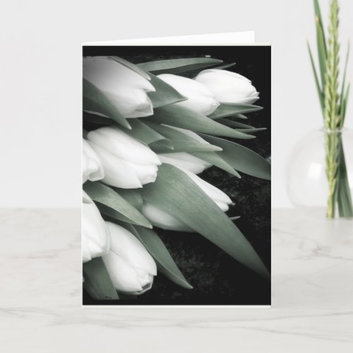 Sweet White Tulip Blank Greeting Card