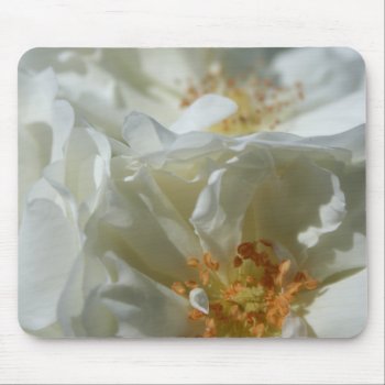 Sweet White Wild Roses Floral Photography Mouse Pad by PBsecretgarden at Zazzle