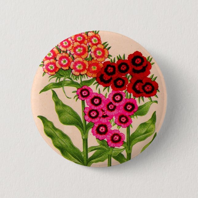sweet william button (Front)