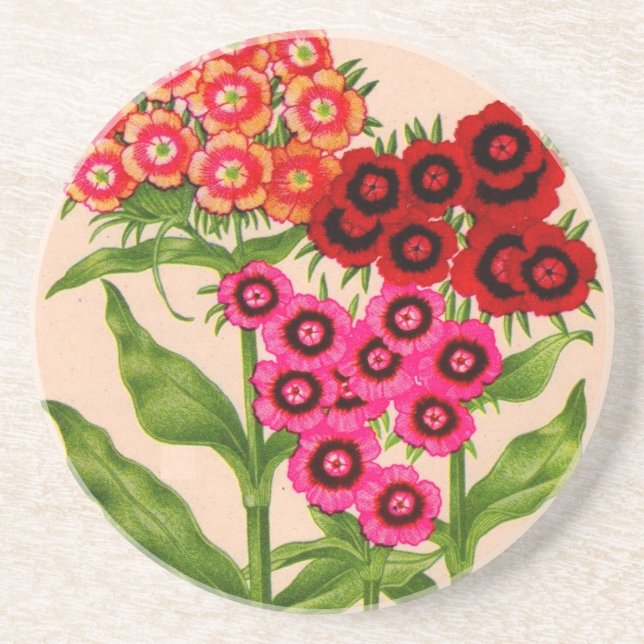 sweet william coaster (Front)