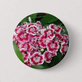 Sweet William Flowers Round Button