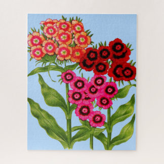 sweet william jigsaw puzzle