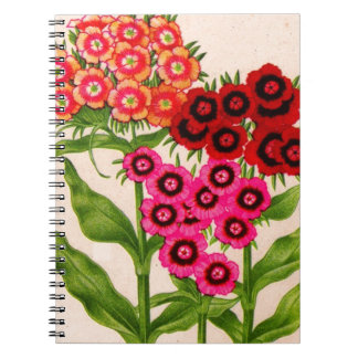 sweet william notebook