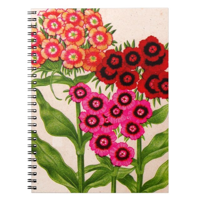 sweet william notebook (Front)