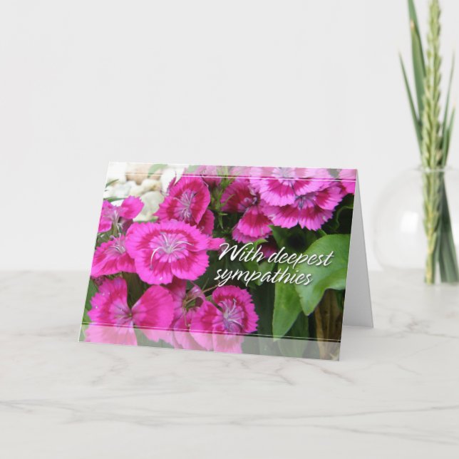 Sweet Williams (Dianthus) Sympathy Cards (Front)