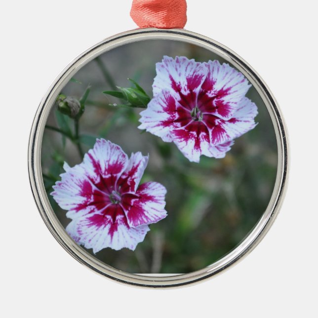 Sweet Williams Metal Ornament (Front)