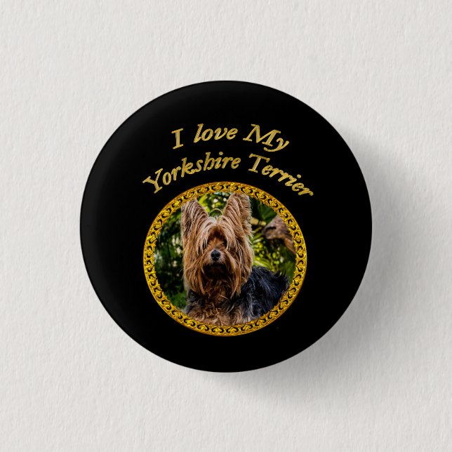 Sweet Yorkshire terrier small dog Button (Front)