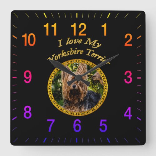 Sweet Yorkshire terrier small dog Square Wall Clock