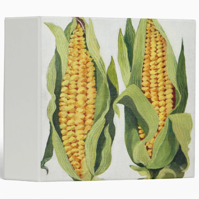 Sweetcorn 2013 binder (Front/Spine)