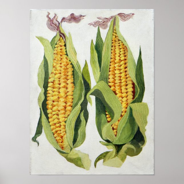 Sweetcorn 2013 poster (Front)