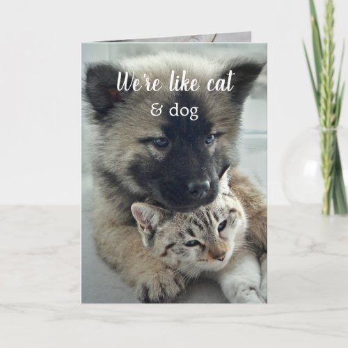 Sweetest Cat and Dog Valentines Day Card