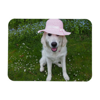 sweetest dog in the world magnet