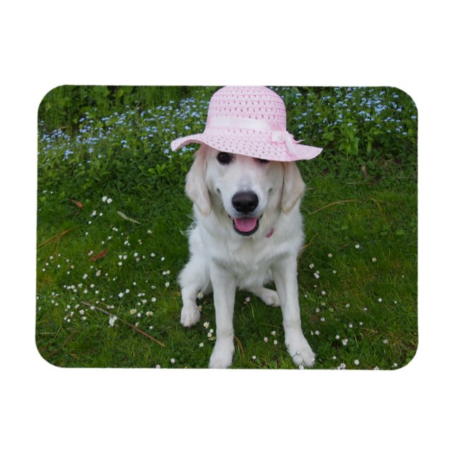 sweetest dog in the world magnet (Horizontal)