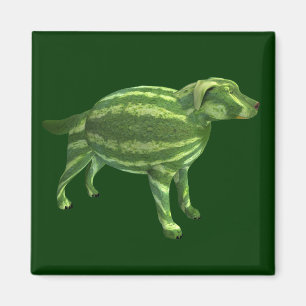 Sweetest Melon Dog Magnet