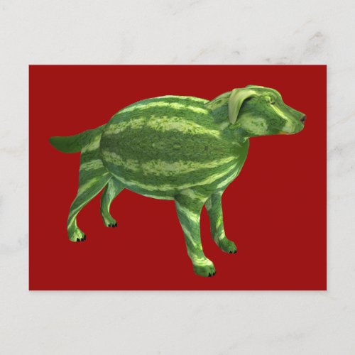 Sweetest Melon Dog Postcard