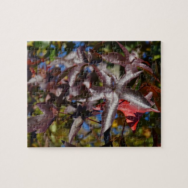 Sweetgum Leaves in Fall Jigsaw Puzzle (Horizontal)