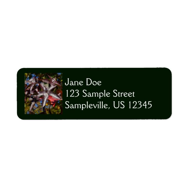 Sweetgum Leaves in Fall Label (Front)