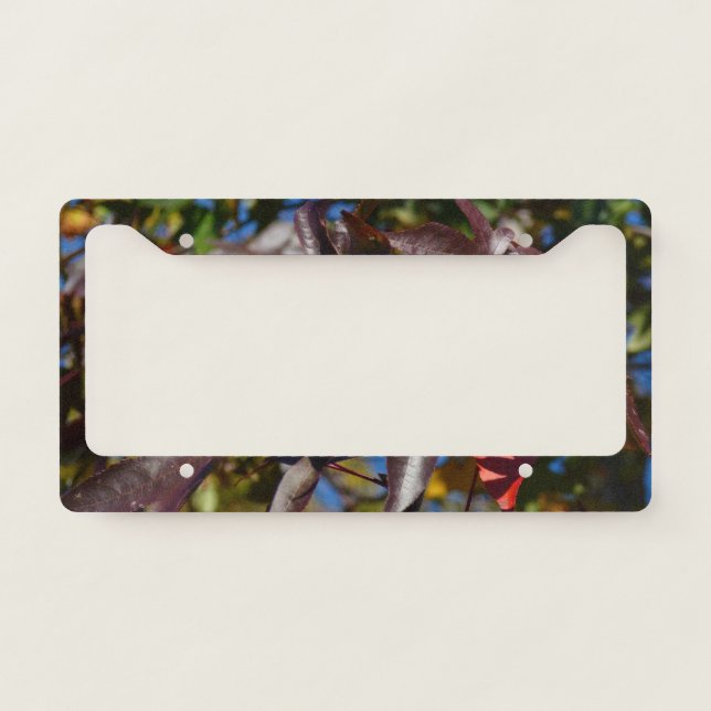 Sweetgum Leaves in Fall License Plate Frame (Front)