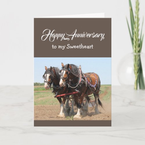  Sweetheart Birthday HORSE Team  Card