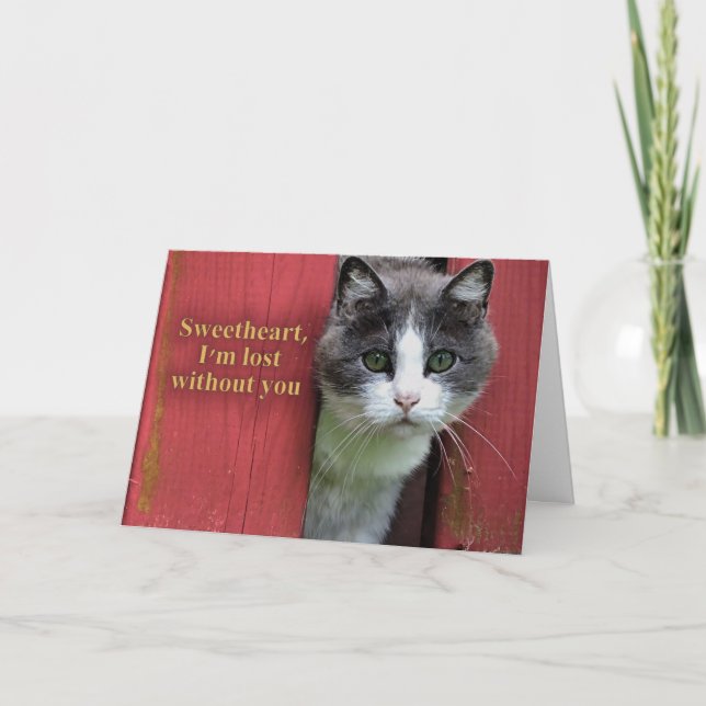 Sweetheart I'm Lost Without You, Cute Cat Card (Front)