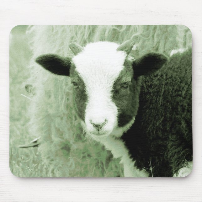 Sweetheart's Lamb in Greenish Tones Mouse Pad (Front)
