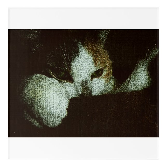 Sweetie Abides Acrylic Print (Front)