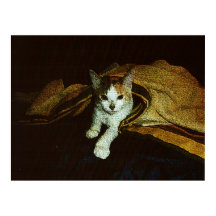 Sweetie as a Kit