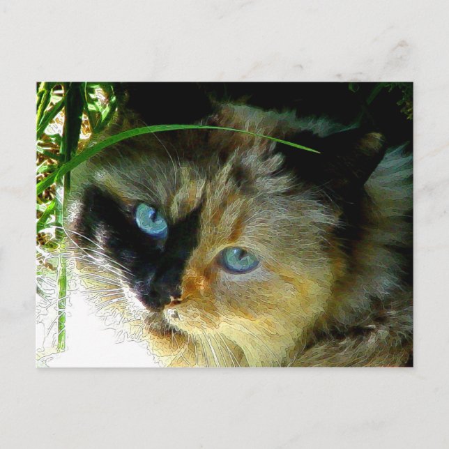 Sweetie Pie Postcard (Front)