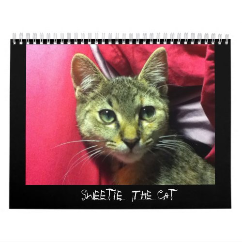 SWEETIE THE CAT calendar