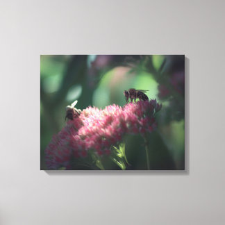 Sweetness Canvas Print