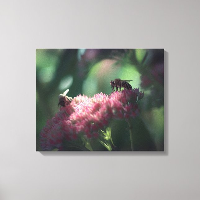 Sweetness Canvas Print (Front)