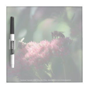 Sweetness Dry Erase Board