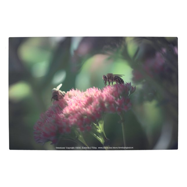 Sweetness Metal Print (Front)