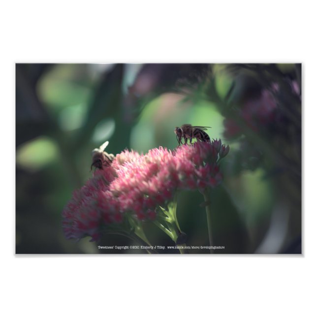 Sweetness Photo Print (Front)