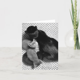 Sweetpea Greeting Card