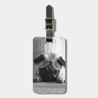 SweetPea Pugs Luggage Tag