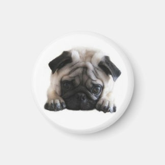 SweetPea Pugs Round Fridge Magnet