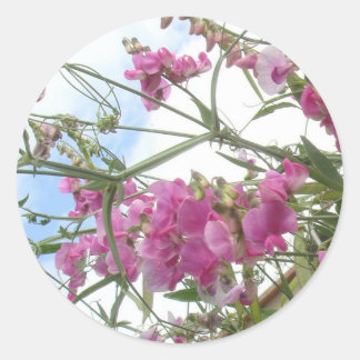 sweetpea sticker