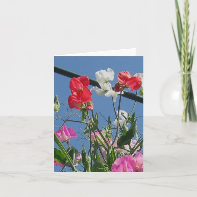 Sweetpeas Note Card (Front)