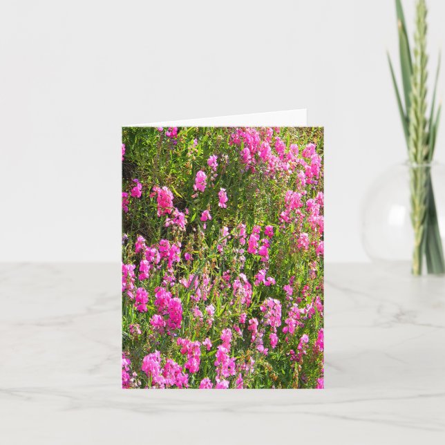 Sweetpeas on the hill.... card (Front)