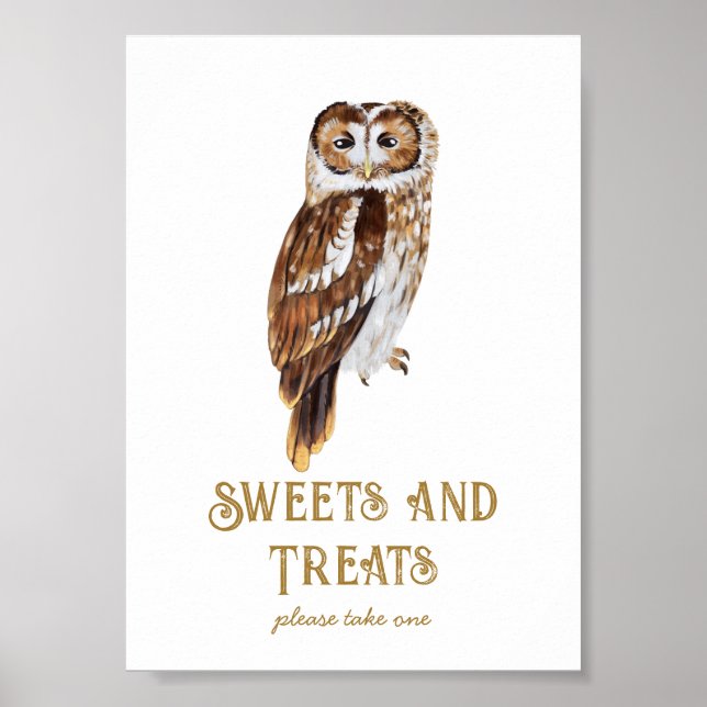 Sweets & Treats Owl Baby Shower  Poster (Front)