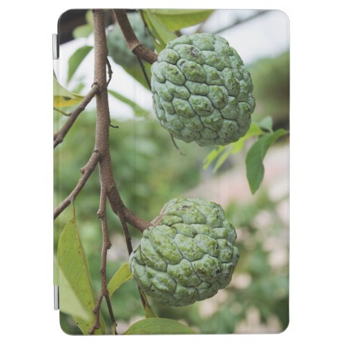 Sweetsop fruit tree iPad air cover