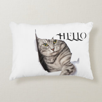 Sweety cat Pillow