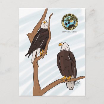 Swfec Eagle Couple Post Card by SWFLEagleCam at Zazzle