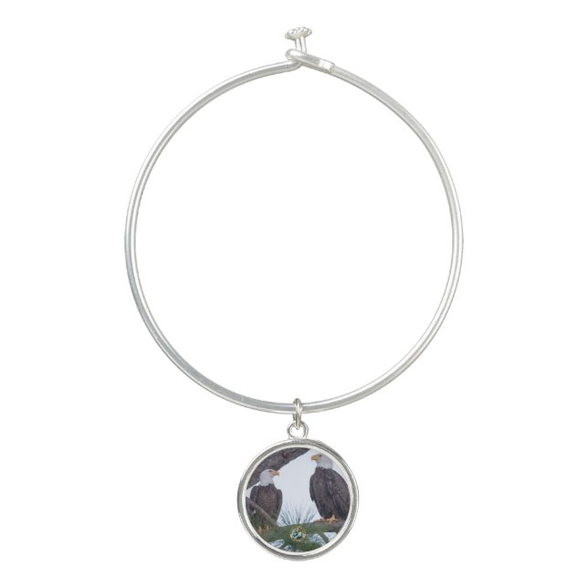SWFL Eagle Cam H&M Memorial Bracelet (Front)